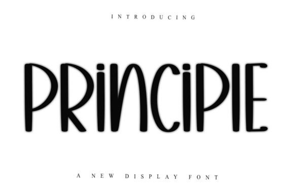 Principle: Elevate Your Visual Design with Elegance